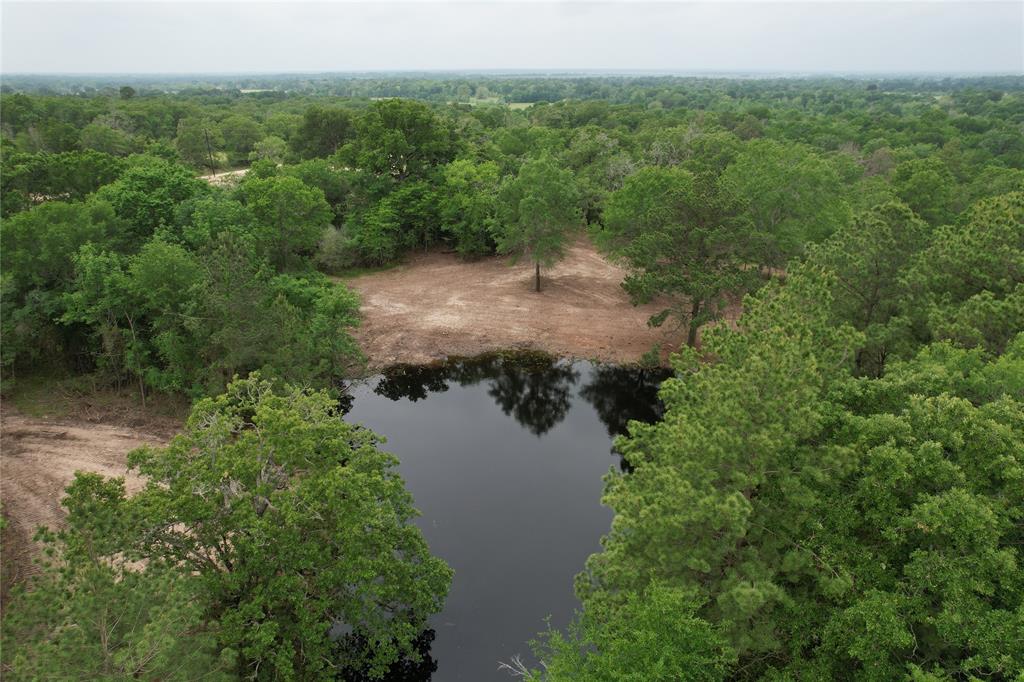 TBD County Road 3470, Lovelady, Texas image 6