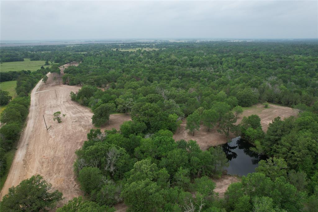 TBD County Road 3470, Lovelady, Texas image 4