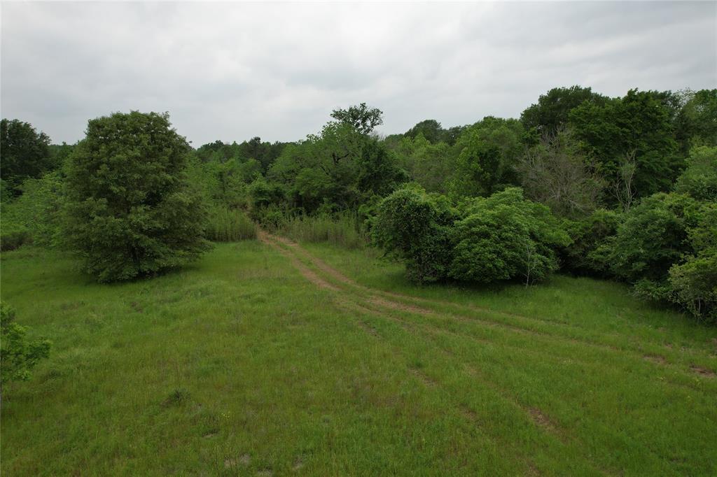 TBD County Road 3470, Lovelady, Texas image 31