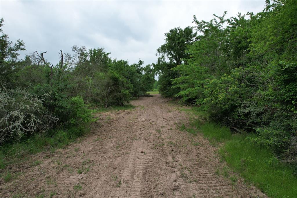 TBD County Road 3470, Lovelady, Texas image 27