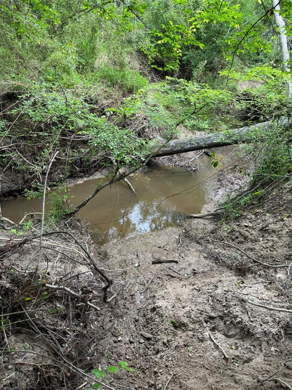 TBD County Road 3470, Lovelady, Texas image 10