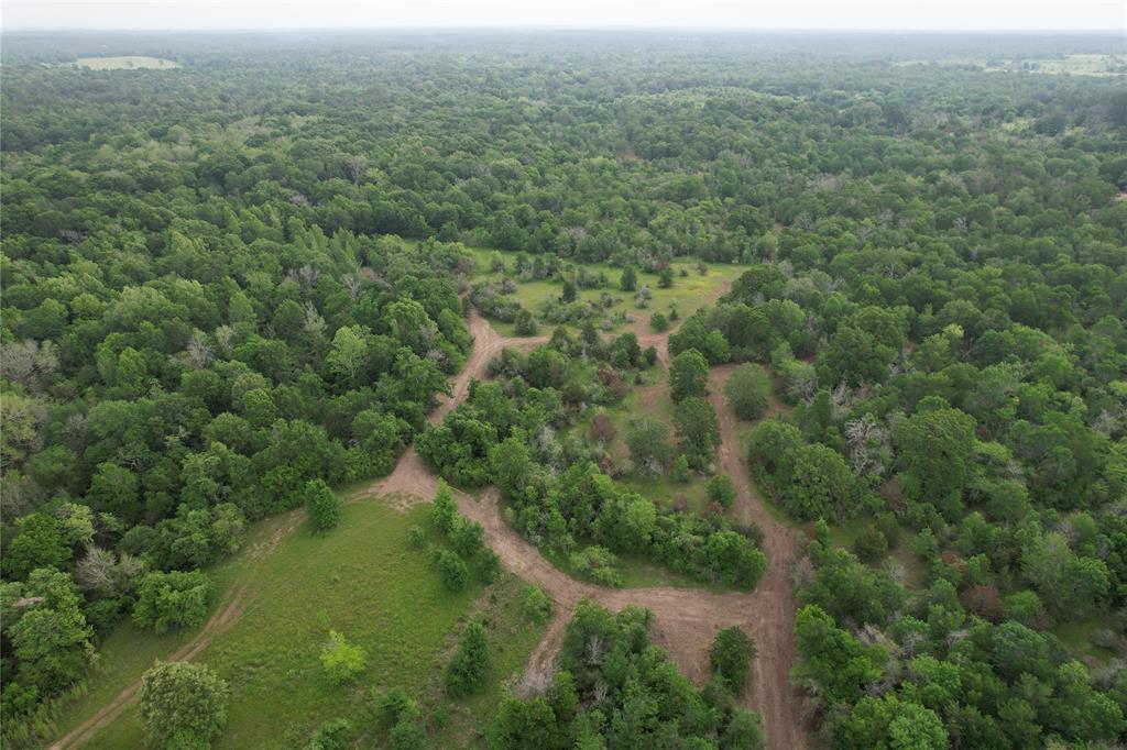 TBD County Road 3470, Lovelady, Texas image 2