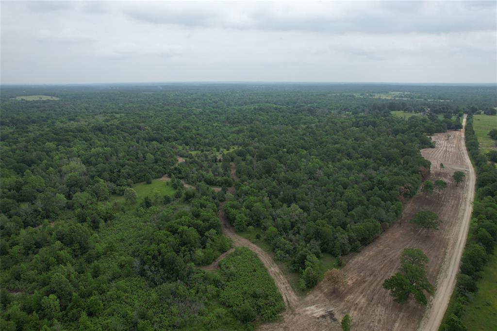 TBD County Road 3470, Lovelady, Texas image 22