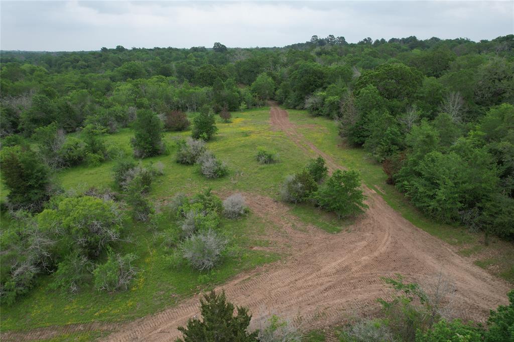 TBD County Road 3470, Lovelady, Texas image 29