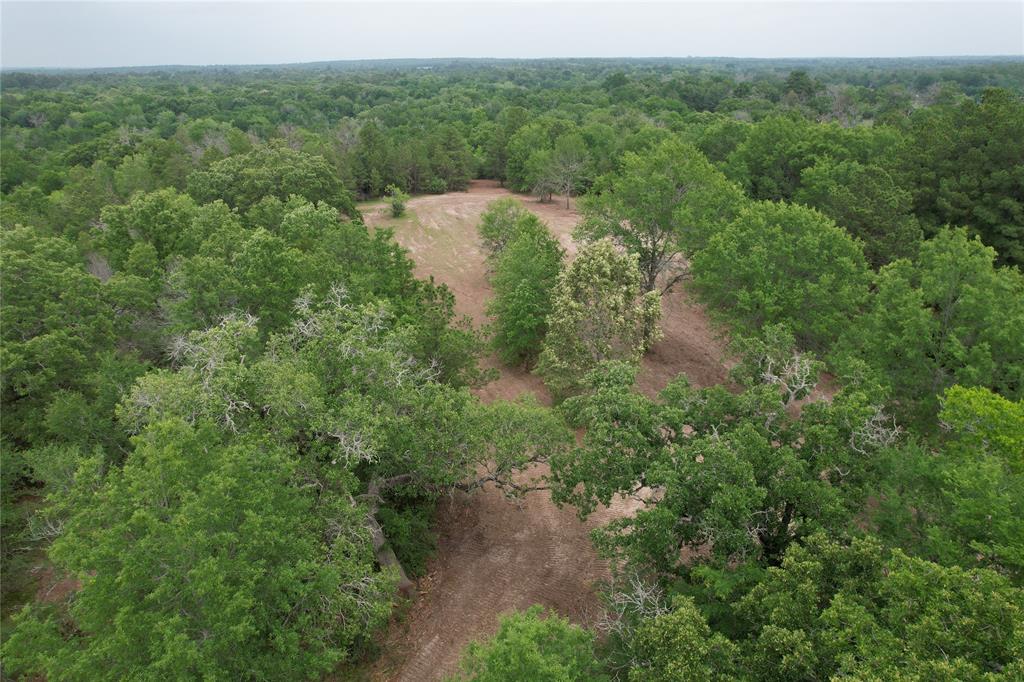 TBD County Road 3470, Lovelady, Texas image 23