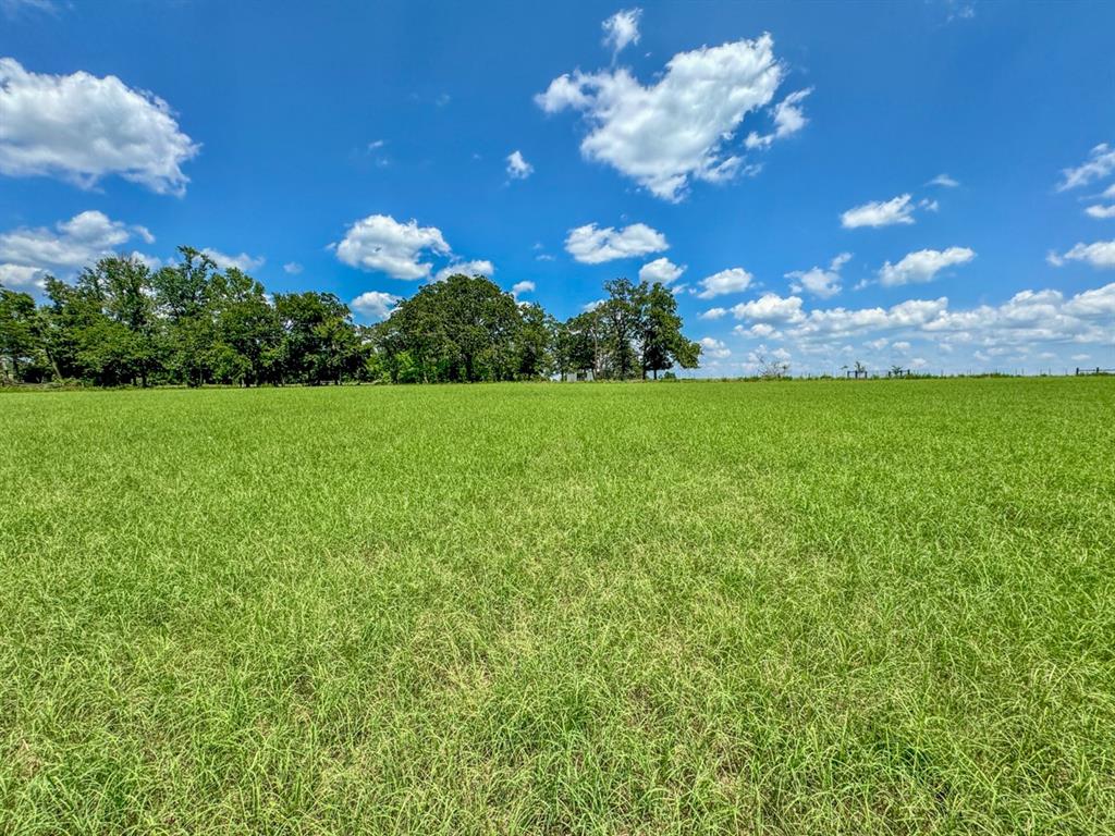 Private Road 2010, Centerville, Texas image 8