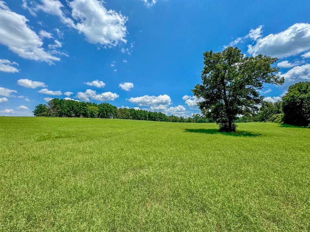 Private Road 2010, Centerville, Texas image 1