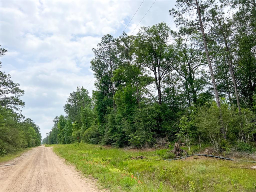 010 Old Arco Rd, Silsbee, Texas image 8