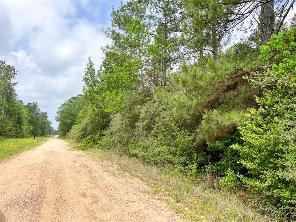 010 Old Arco Rd, Silsbee, Texas image 6