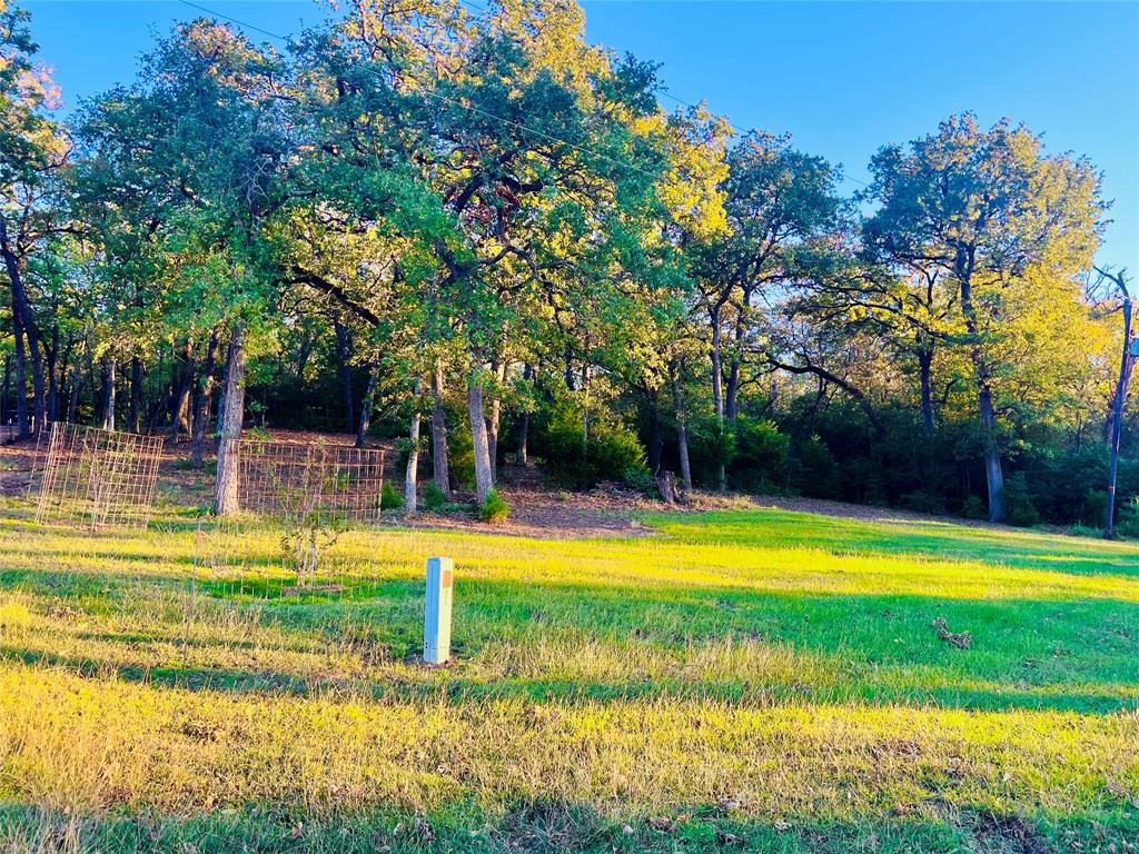 1.30 Cr 369, Jewett, Texas image 2