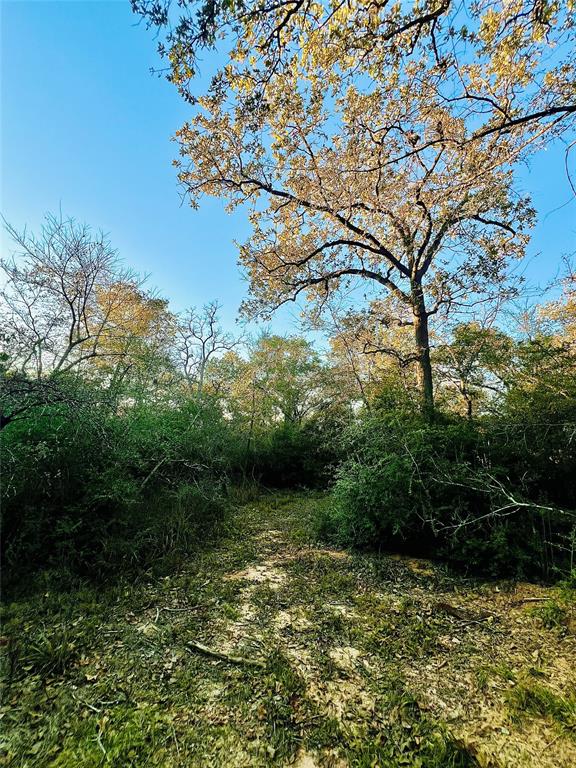 1.30 Cr 369, Jewett, Texas image 7