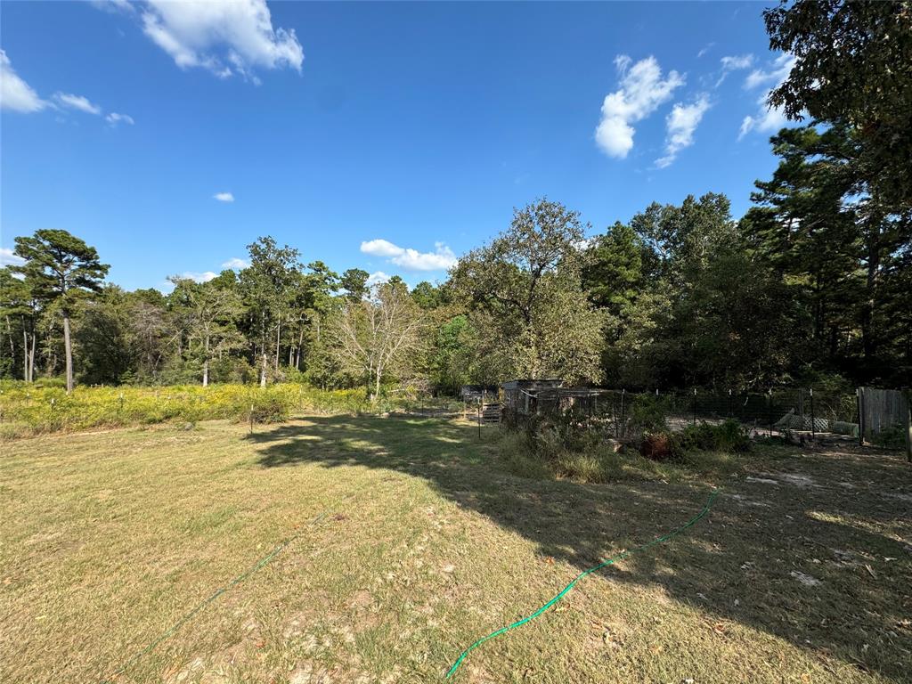 894 Winding Creek Rd, Trinity, Texas image 24