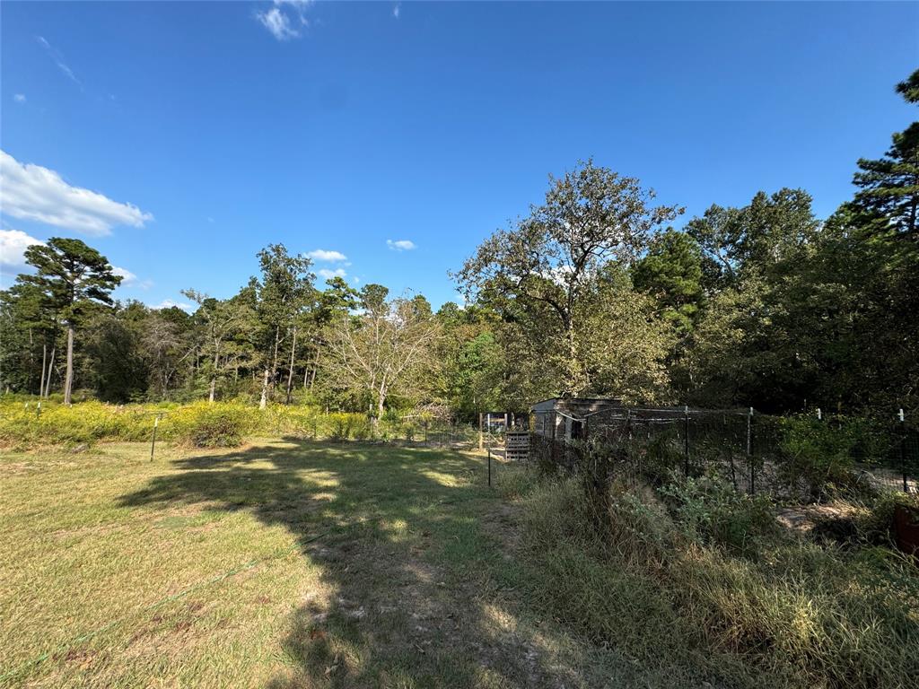 894 Winding Creek Rd, Trinity, Texas image 9