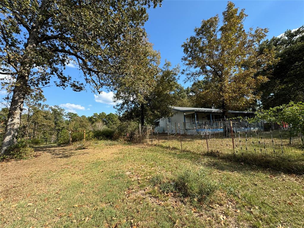 894 Winding Creek Rd, Trinity, Texas image 3