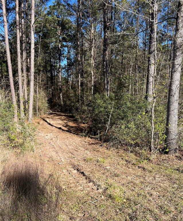 340 Exploration Road, Willis, Texas image 3