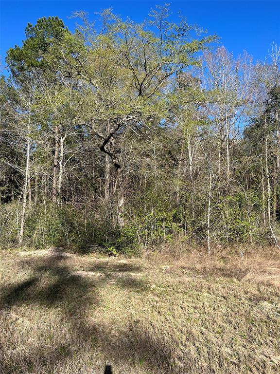 340 Exploration Road, Willis, Texas image 6