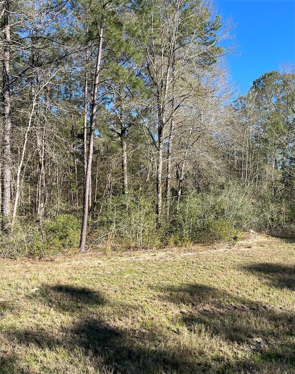 340 Exploration Road, Willis, Texas image 5