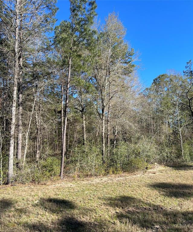 340 Exploration Road, Willis, Texas image 7