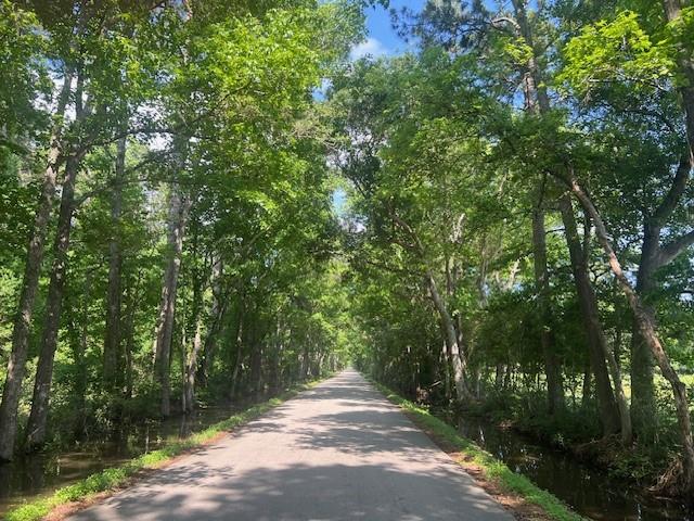 TBD County Road 3017c, Dayton, Texas image 9