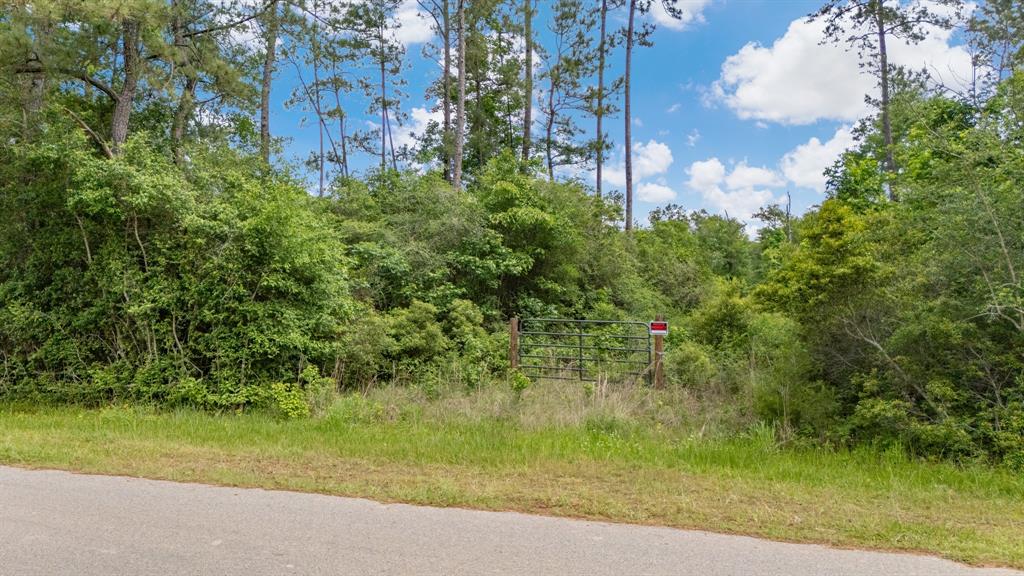 Old Arco Road, Silsbee, Texas image 5