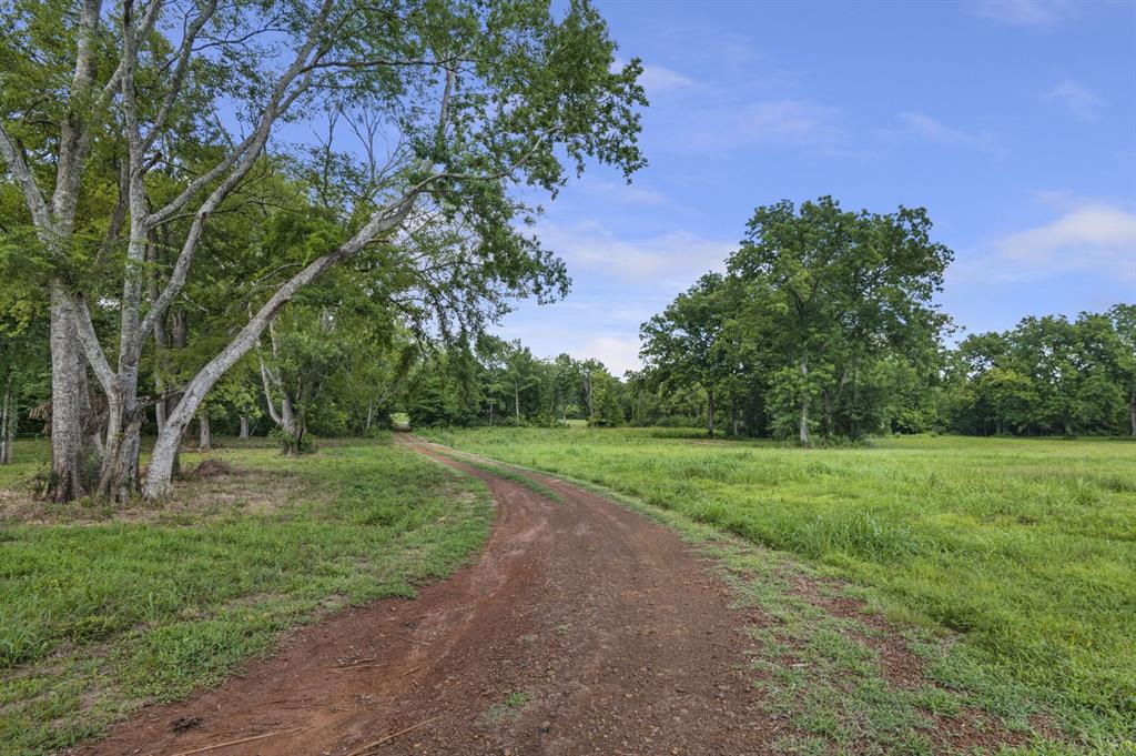 349 County Road 2801, Alto, Texas image 30