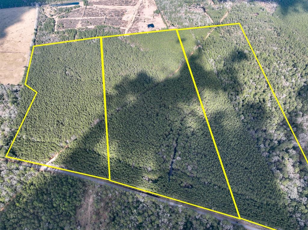 1 Laird Road, Kountze, Texas image 1