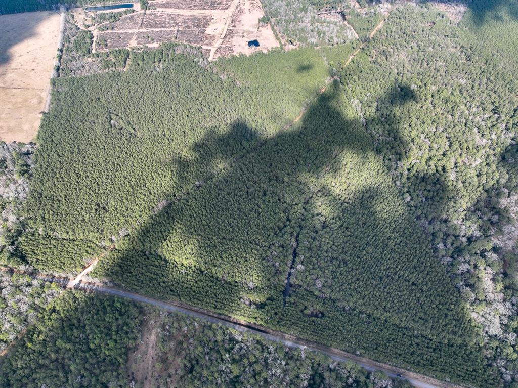 1 Laird Road, Kountze, Texas image 7