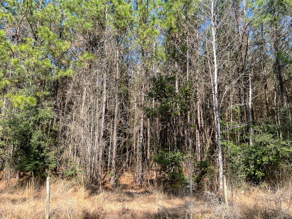 1 Laird Road, Kountze, Texas image 4