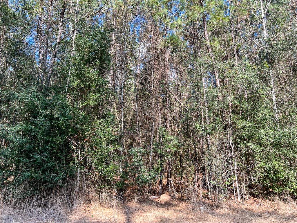 1 Laird Road, Kountze, Texas image 3
