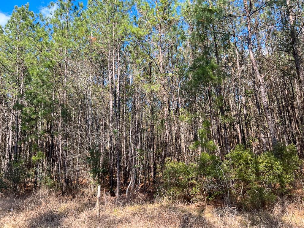 1 Laird Road, Kountze, Texas image 5