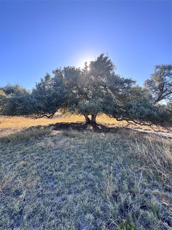 Fallow Drive, Harper, Texas image 4