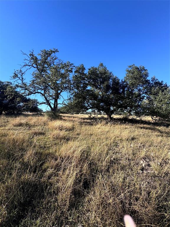 Fallow Drive, Harper, Texas image 7