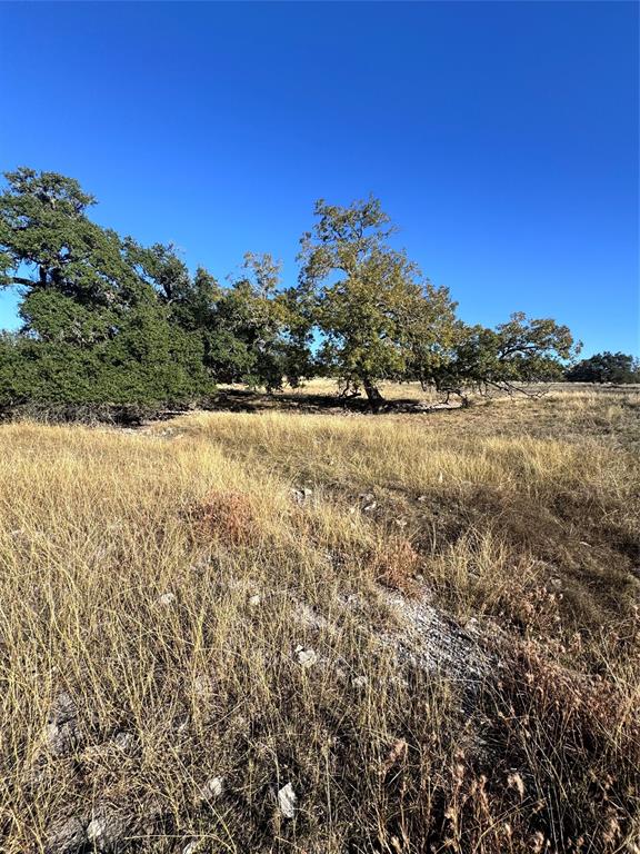 Fallow Drive, Harper, Texas image 9