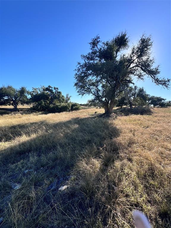 Fallow Drive, Harper, Texas image 6