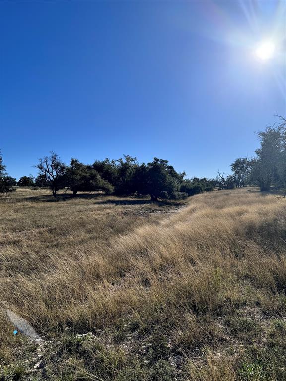 Fallow Drive, Harper, Texas image 5