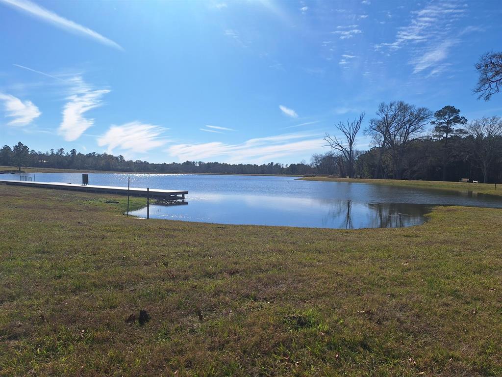 10439 Wagon Pass Trail, Willis, Texas image 10