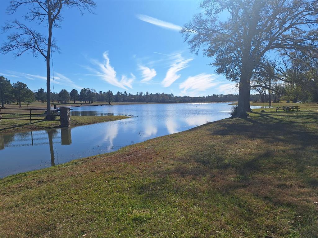 10439 Wagon Pass Trail, Willis, Texas image 9