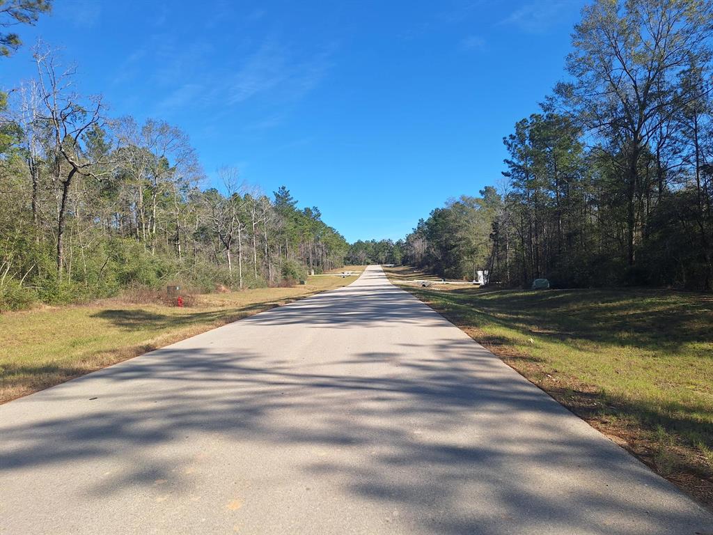 10439 Wagon Pass Trail, Willis, Texas image 6