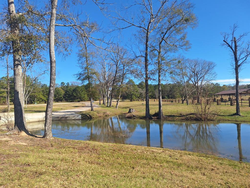 10439 Wagon Pass Trail, Willis, Texas image 7