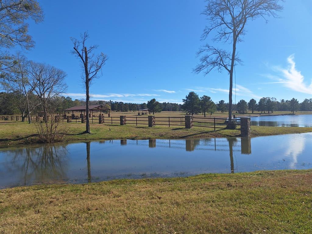 10439 Wagon Pass Trail, Willis, Texas image 8