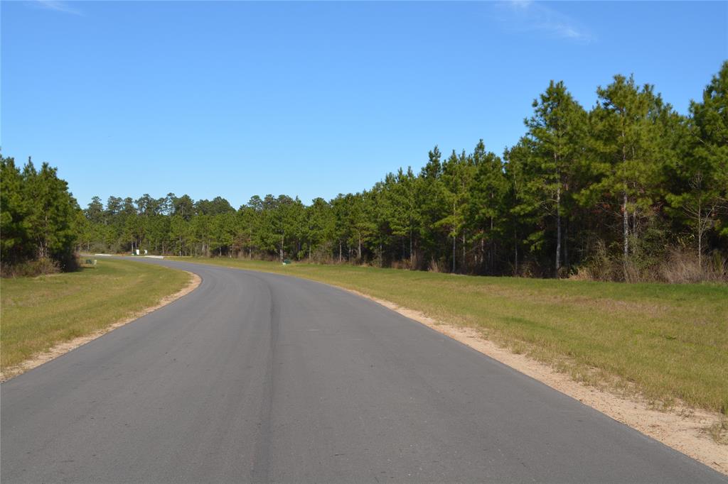 15726 Wood Grove Way, Willis, Texas image 9