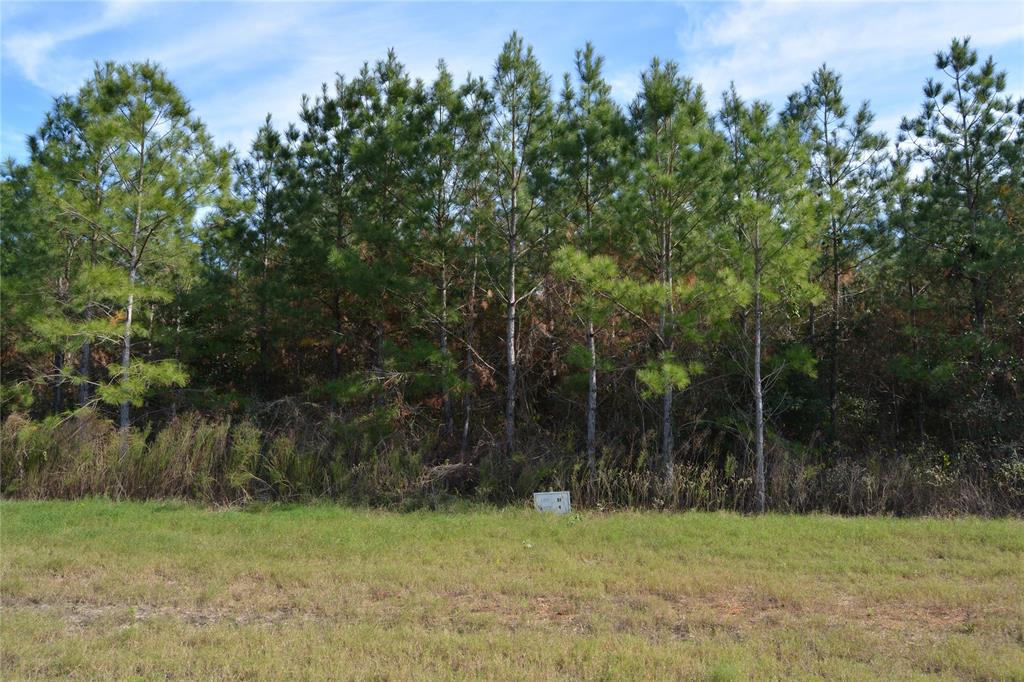 15726 Wood Grove Way, Willis, Texas image 10