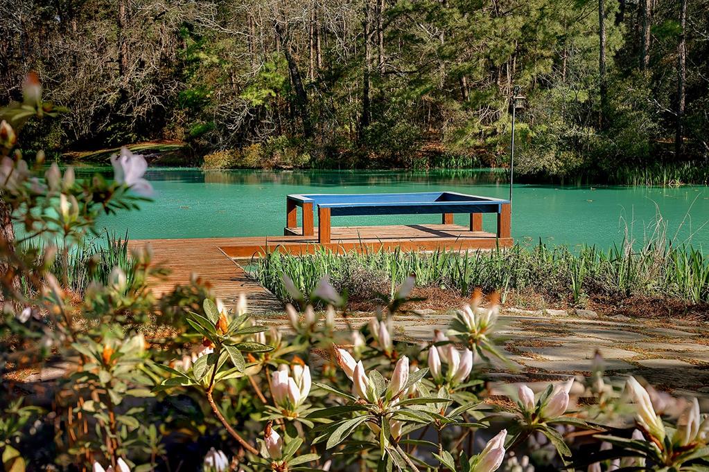 21311 Fitz Lane, Magnolia, Texas image 50