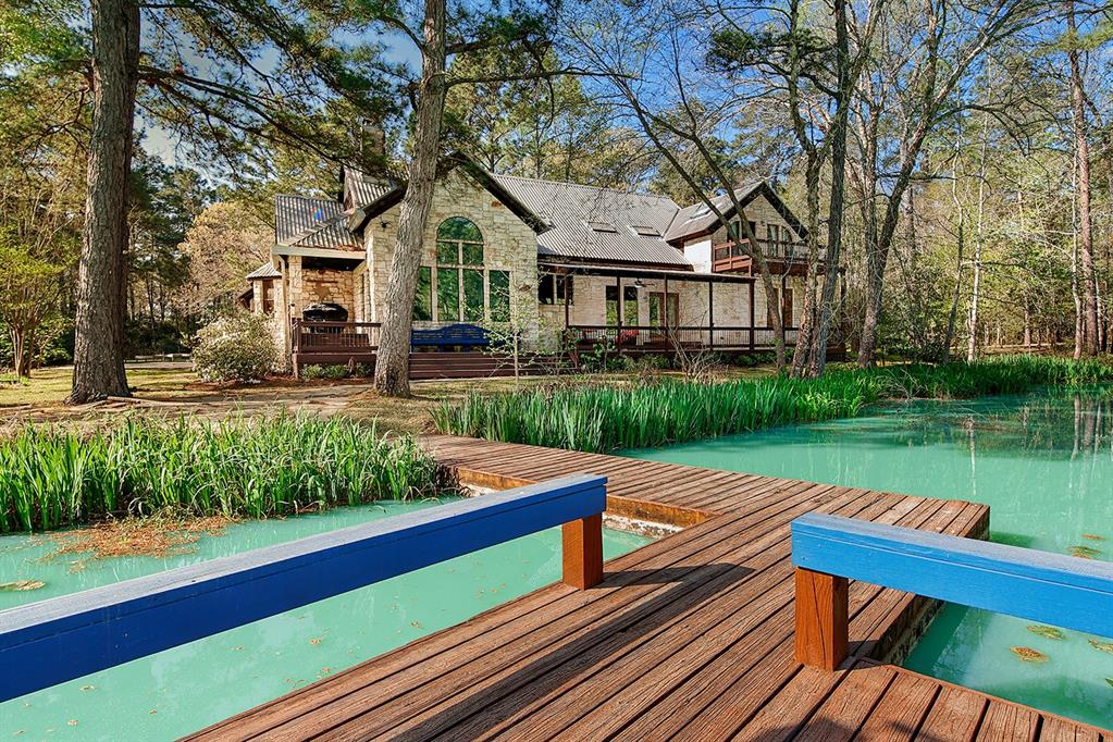 21311 Fitz Lane, Magnolia, Texas image 42