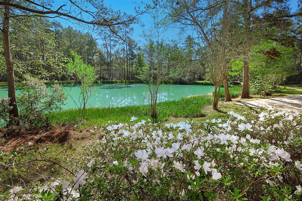 21311 Fitz Lane, Magnolia, Texas image 48