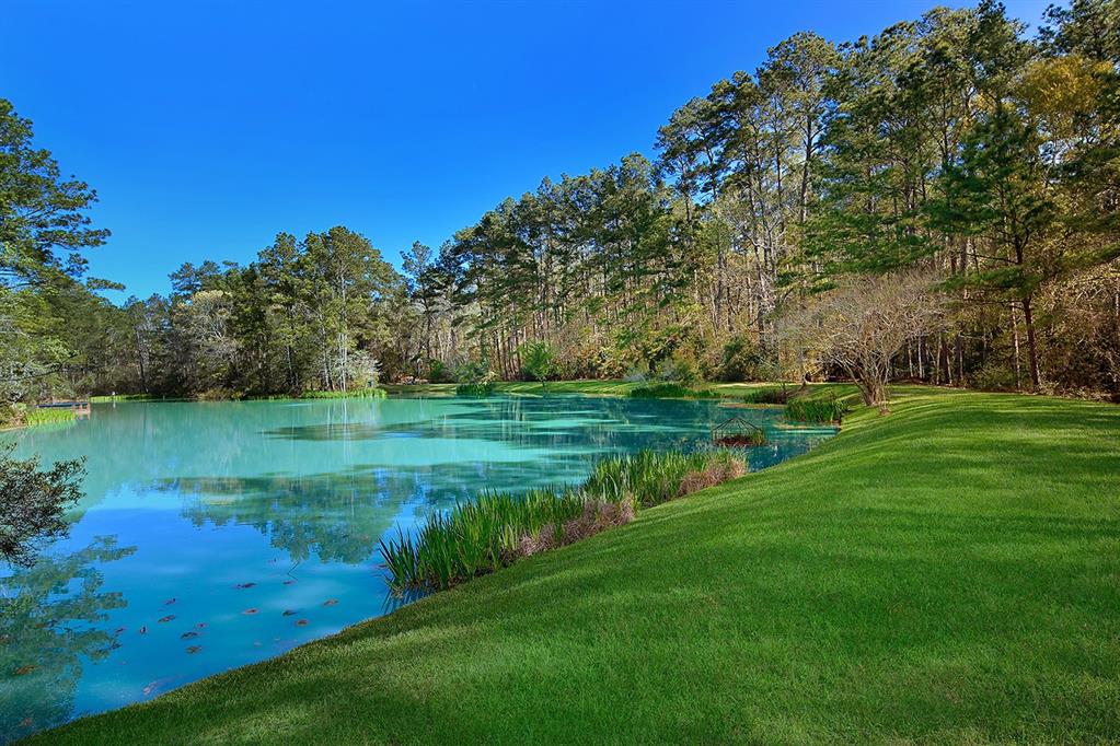 21311 Fitz Lane, Magnolia, Texas image 49