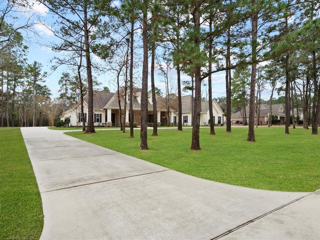 10539 Crestwater Circle, Magnolia, Texas image 3