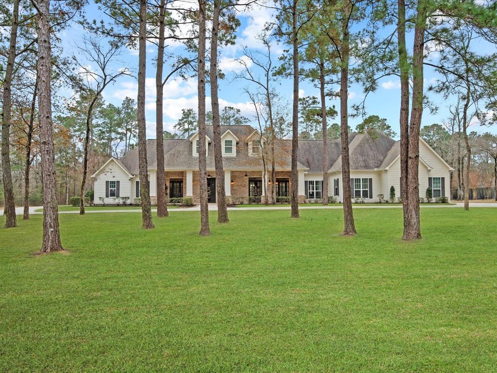 10539 Crestwater Circle, Magnolia, Texas image 1