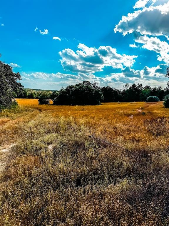 0000 County Road 237, Oakwood, Texas image 6