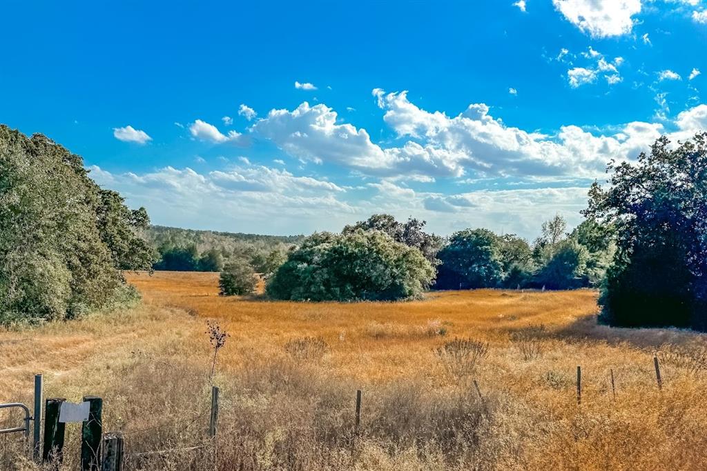 0000 County Road 237, Oakwood, Texas image 2